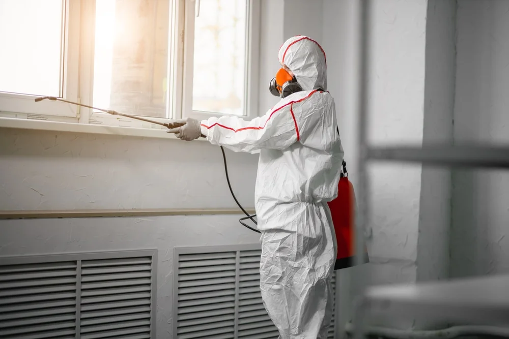 Professional mold remediation services in Adena, OH